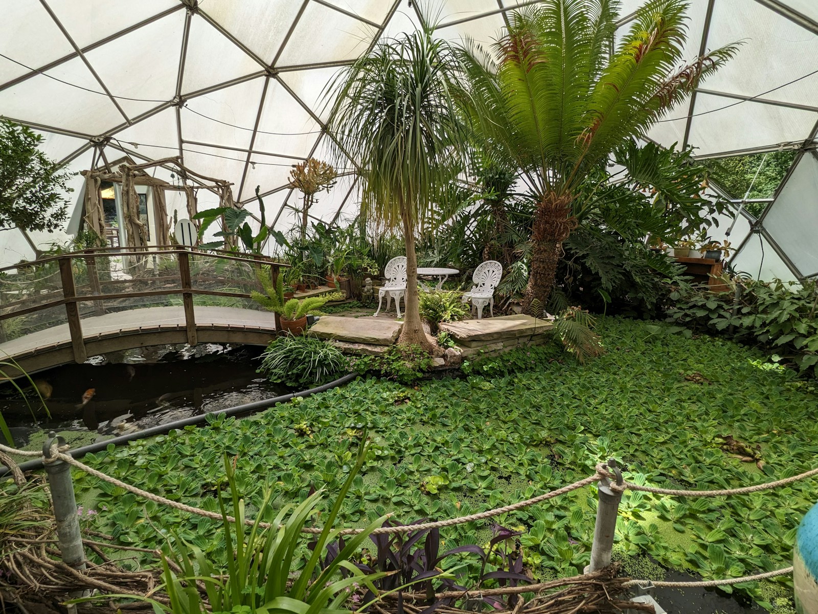 dome geodesique