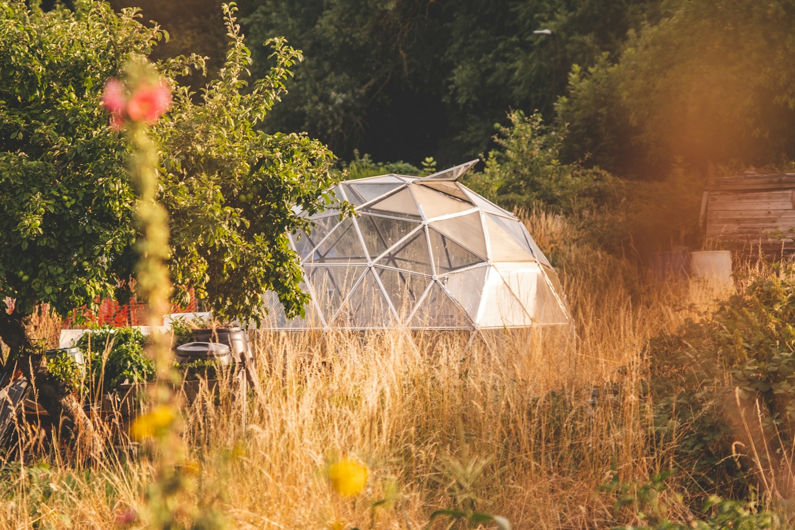 serre en dome
